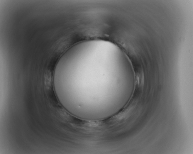 X0000113941251200910021255