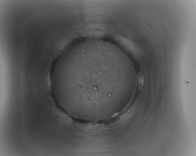 X0000113941252200910021255