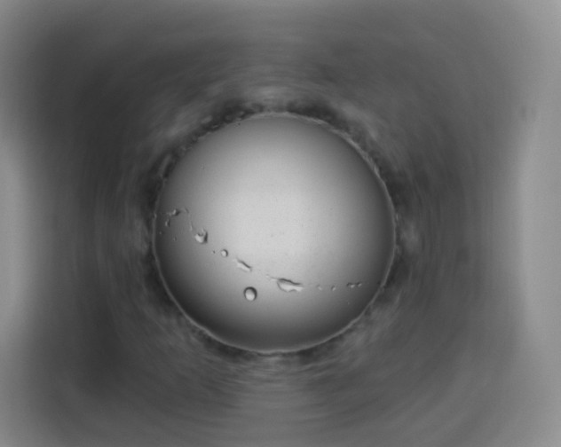 X0000113941253200910021255