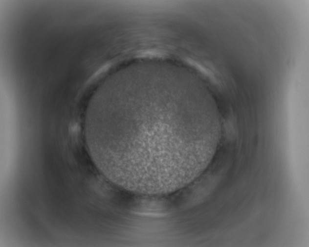 X0000113941254200910021255