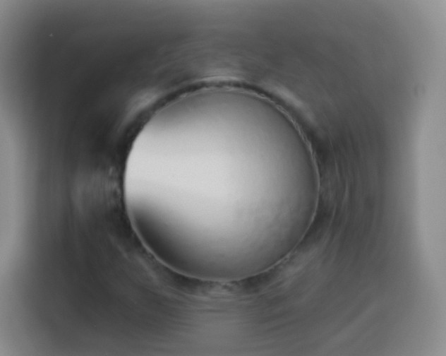 X0000113941255200910021255