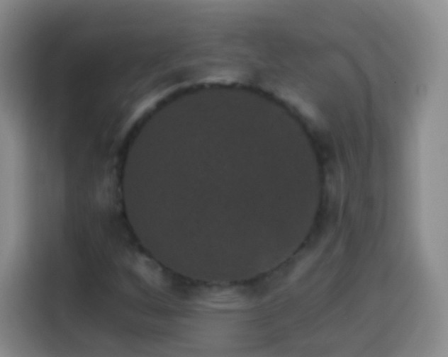 X0000113941256200910021255