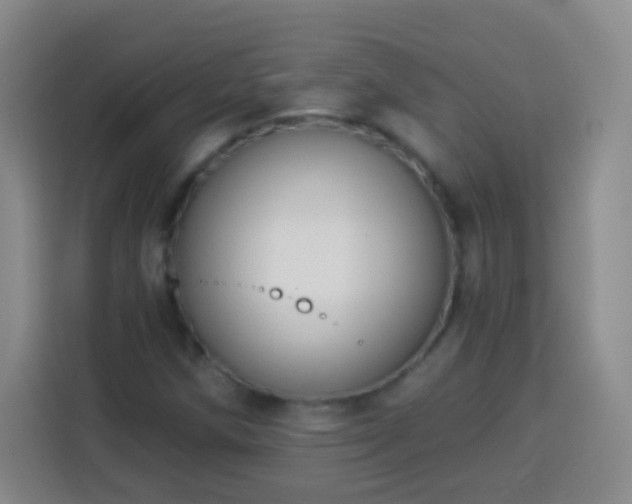 X0000113941258200910021255