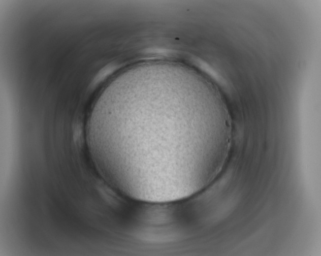 X0000113941259200910021255