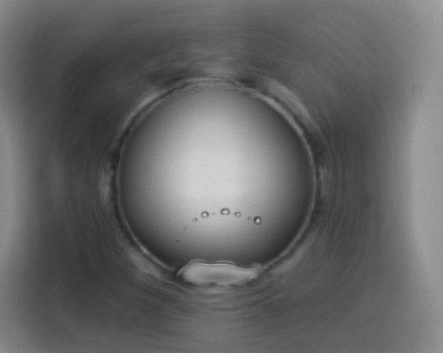 X0000113941260200910021255