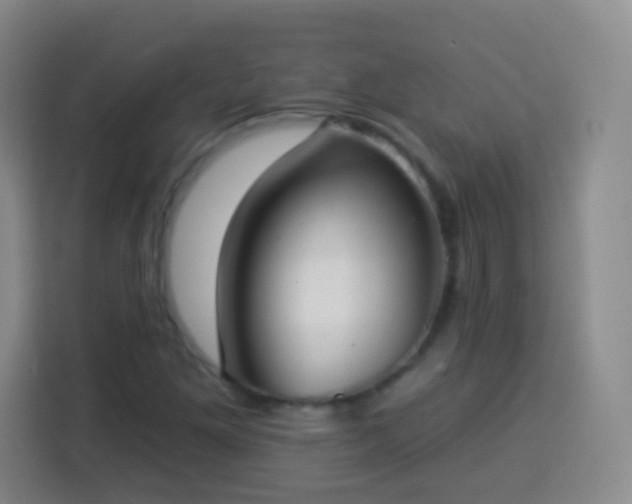 X0000113941261200910021255