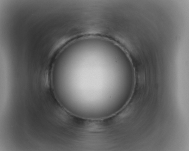 X0000113941262200910021255