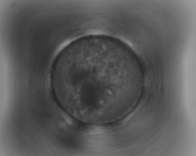 X0000113941263200910021255