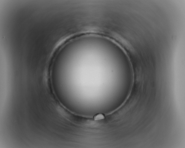 X0000113941264200910021255