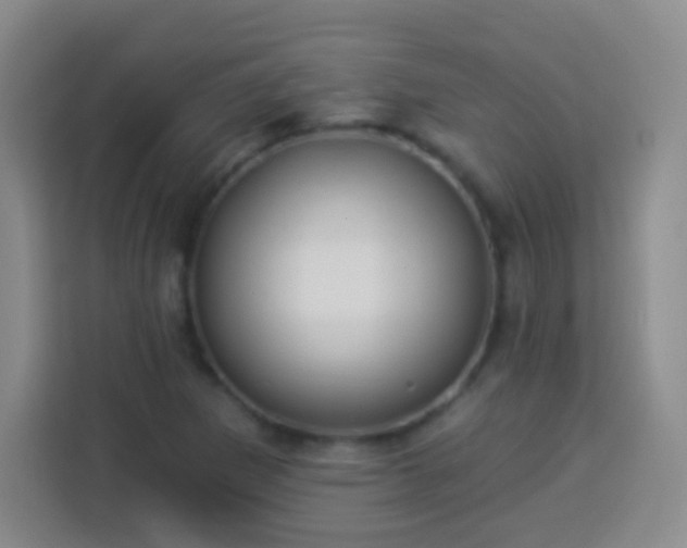 X0000113941265200910021255