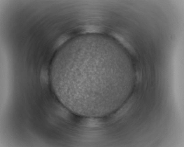 X0000113941266200910021255