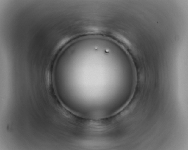 X0000113941267200910021255