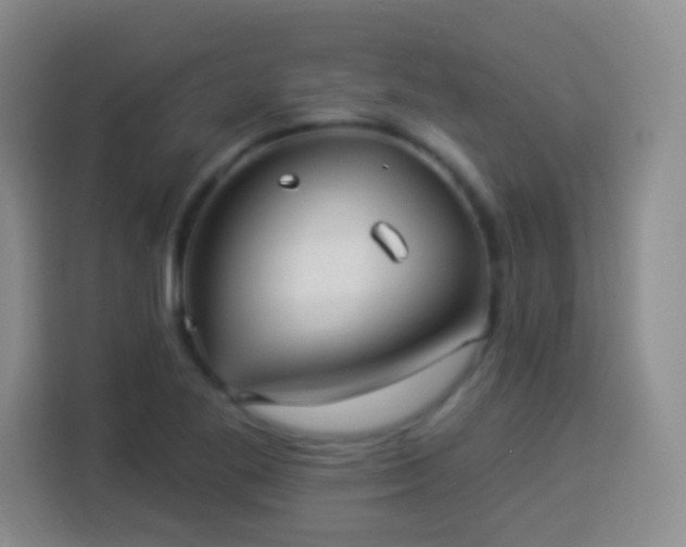 X0000113941269200910021255