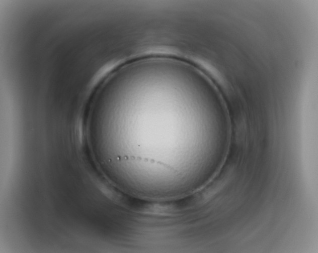 X0000113941271200910021255