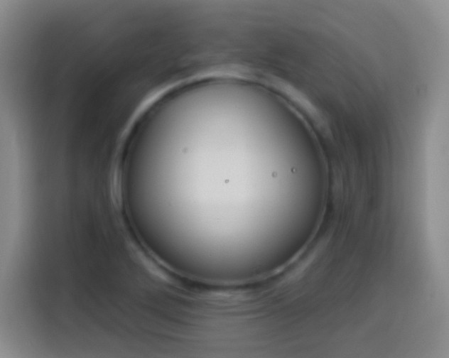 X0000113941272200910021255