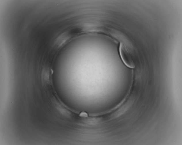 X0000113941273200910021255