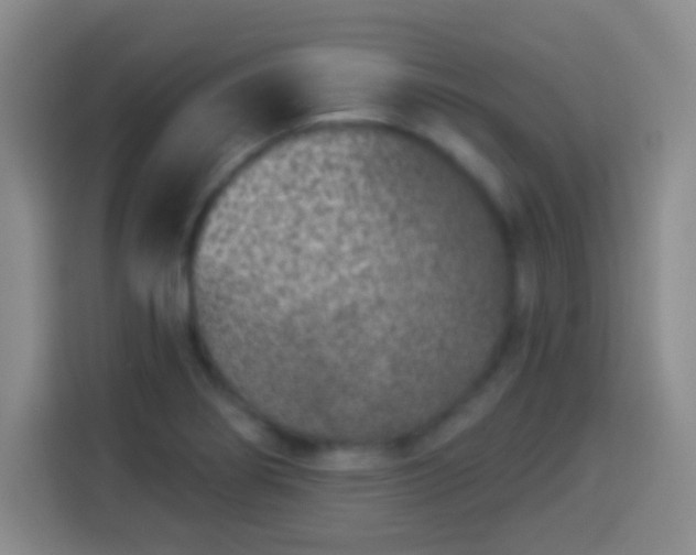 X0000113941274200910021255