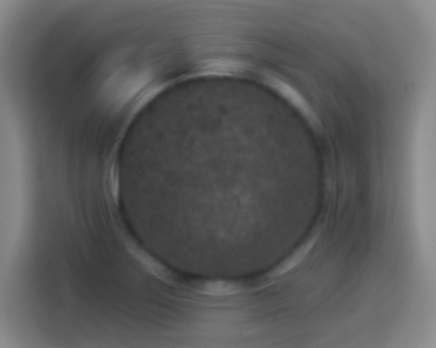 X0000113941275200910021255