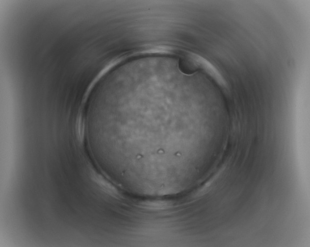 X0000113941276200910021255