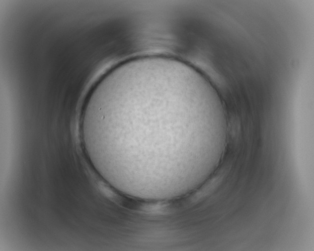 X0000113941278200910021255