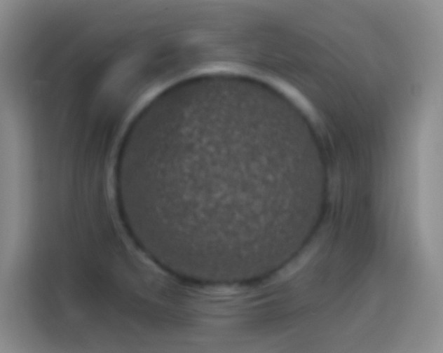 X0000113941279200910021255