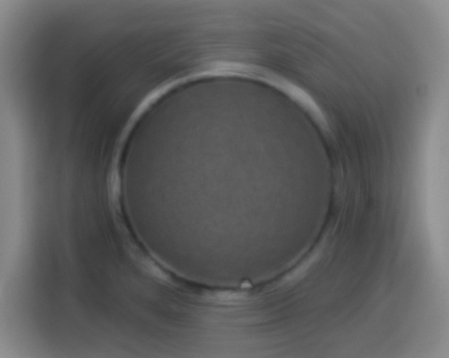 X0000113941280200910021255