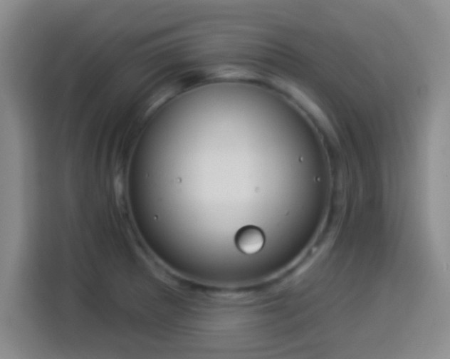 X0000113941281200910021255