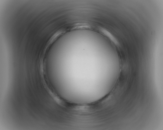 X0000113941282200910021255