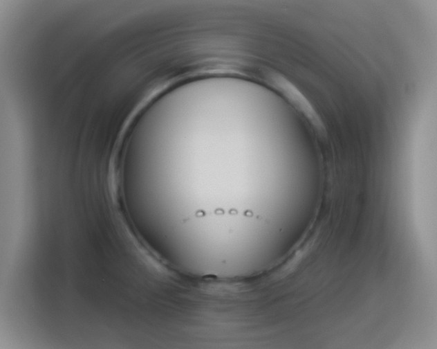 X0000113941284200910021255