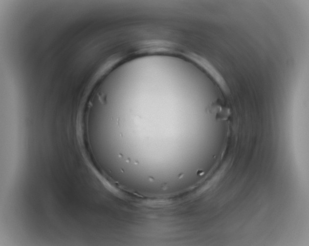 X0000113941285200910021255