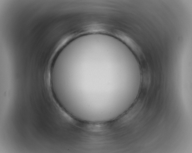 X0000113941286200910021255