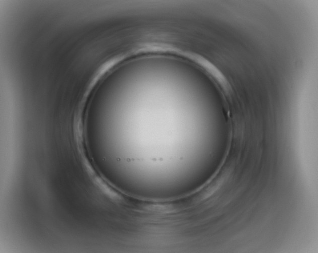 X0000113941287200910021255