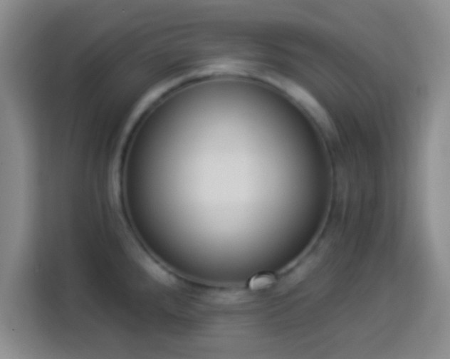 X0000113941288200910021255