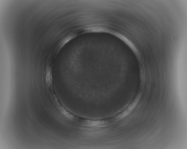 X0000113941289200910021255