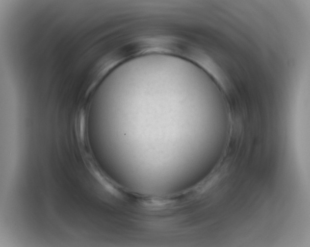 X0000113941290200910021255