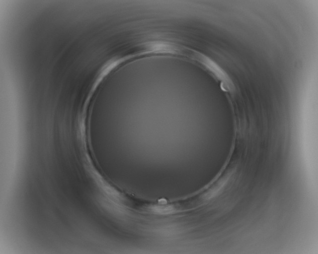 X0000113941291200910021255