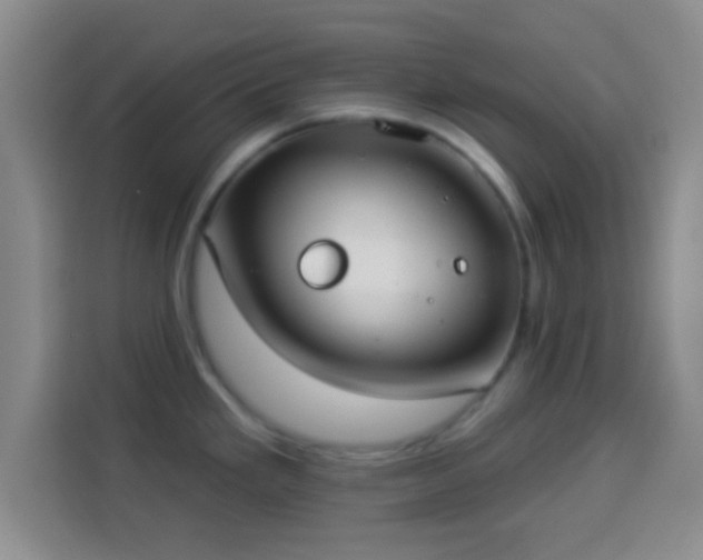 X0000113941293200910021255