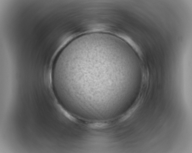 X0000113941294200910021255