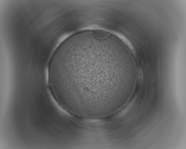 X0000113941295200910021255