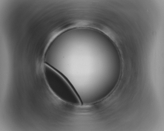 X0000113941296200910021255