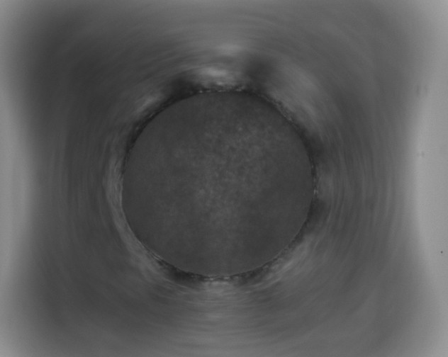 X0000113941297200910021254