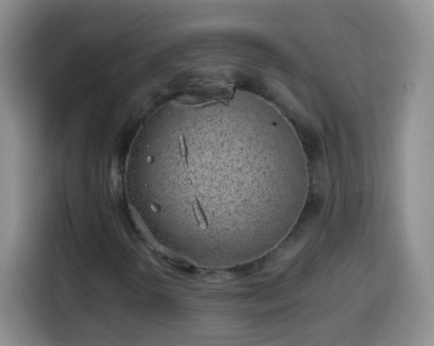 X0000113941298200910021254