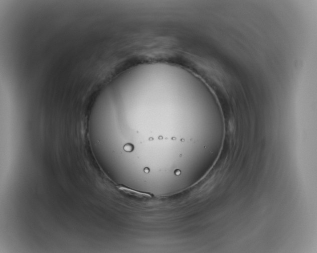 X0000113941300200910021254