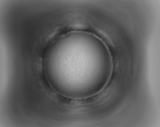 X0000113941301200910021254