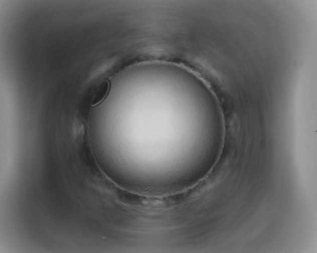 X0000113941302200910021254