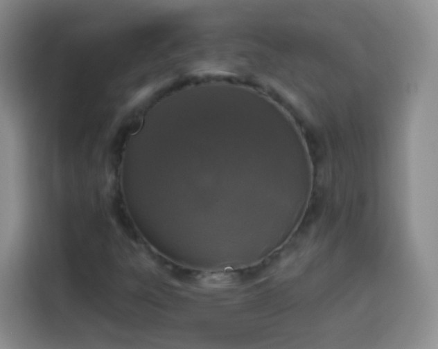 X0000113941303200910021254