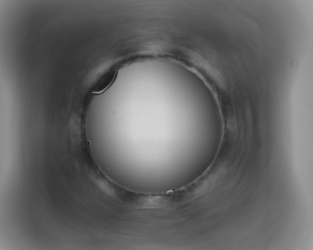 X0000113941304200910021254