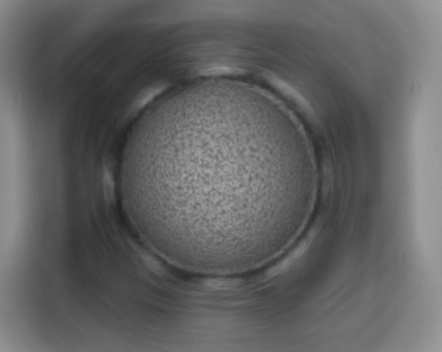 X0000113941305200910021254