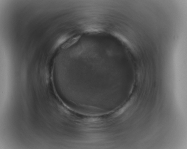 X0000113941306200910021254