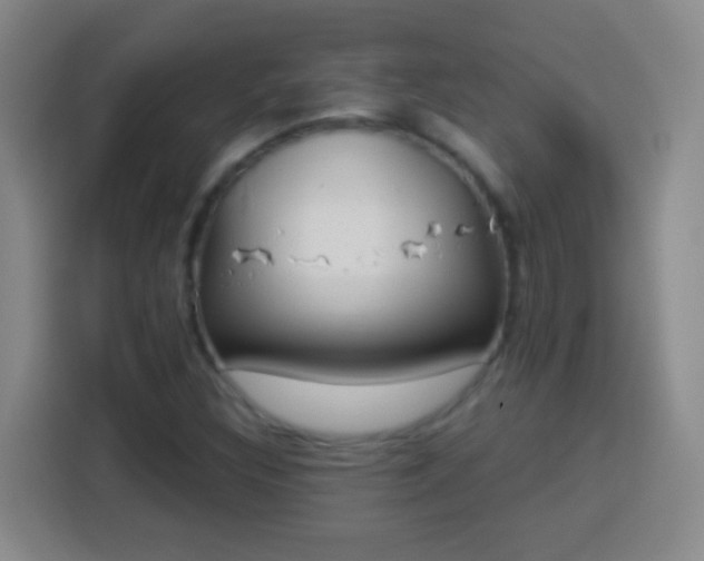 X0000113941308200910021254